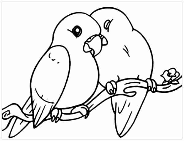 9 atividade de casal de passarinhos para colorir