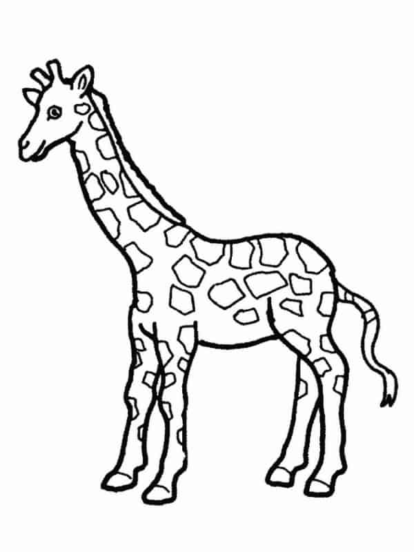 1 desenho simples de girafa para imprimir