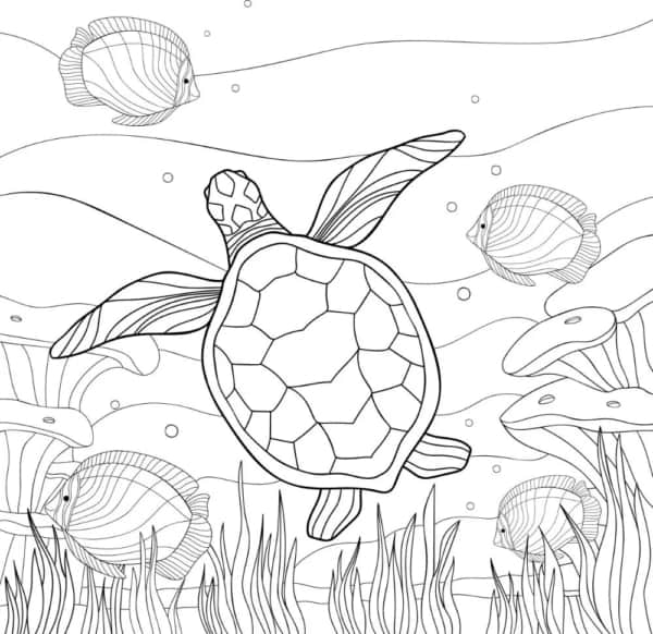 11 desenho de fundo do mar com tartaruga para colorir