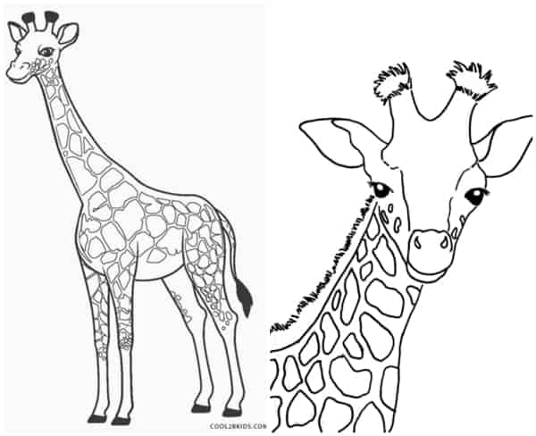 13 desenhos simples de girafa para colorir