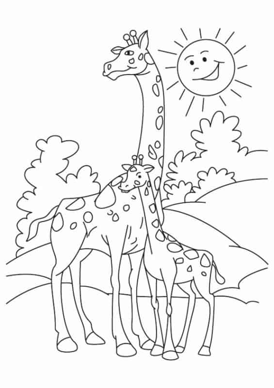 14 desenho de girafa com filhote