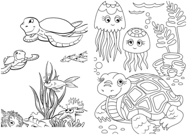 14 desenhos de fundo do mar com tartaruga para colorir