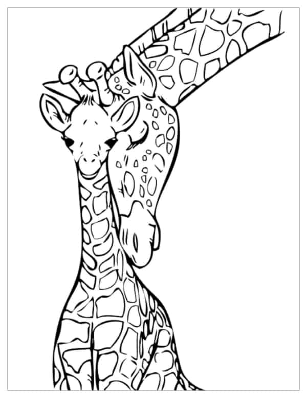15 desenho fofo de girafa com filhote para colorir
