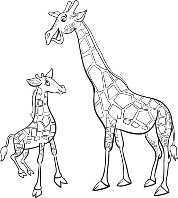 19 atividade de girafa com filhote