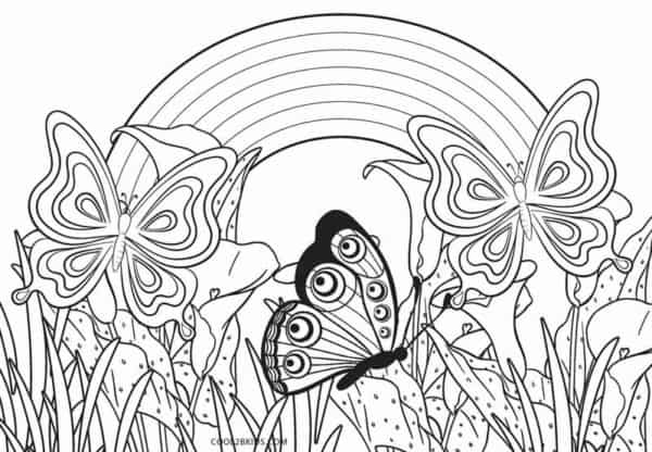 20 desenho de arco iris com borboletas para colorir