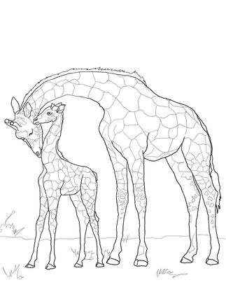 23 atividade de pintar de girafa com filhote