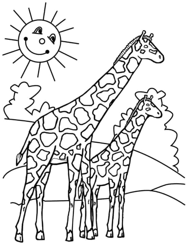 24 desenho simples de girafa com filhote para colorir
