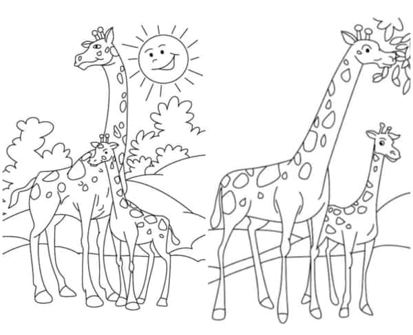 26 desenhos de girafas com filhotes para colorir