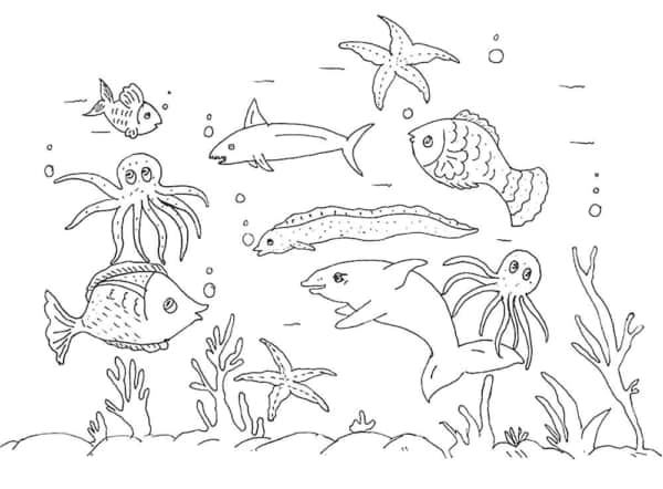 28 desenho de fundo do mar com animais para colorir