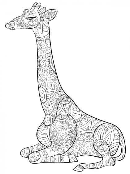 30 desenho de girafa sentada com detalhes para colorir