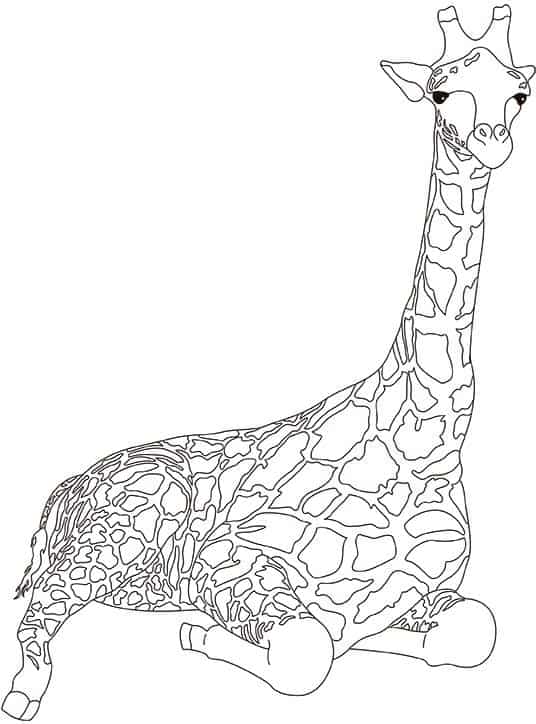36 atividade de girafa sentada para imprimir e colorir