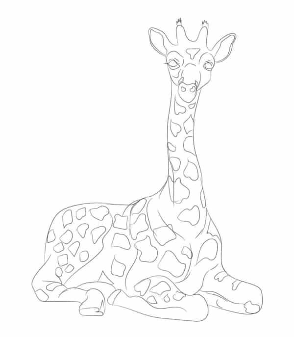 39 desenho de girafa sentada para pintar