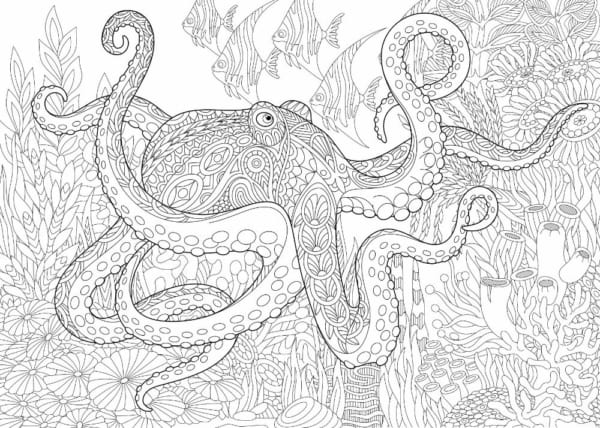 6 desenho com detalhes do fundo do mar para colorir