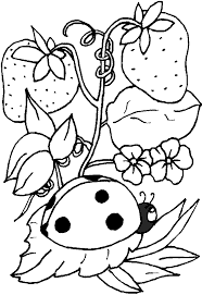 Desenhos de flores para colorir - Blog Ana Giovanna