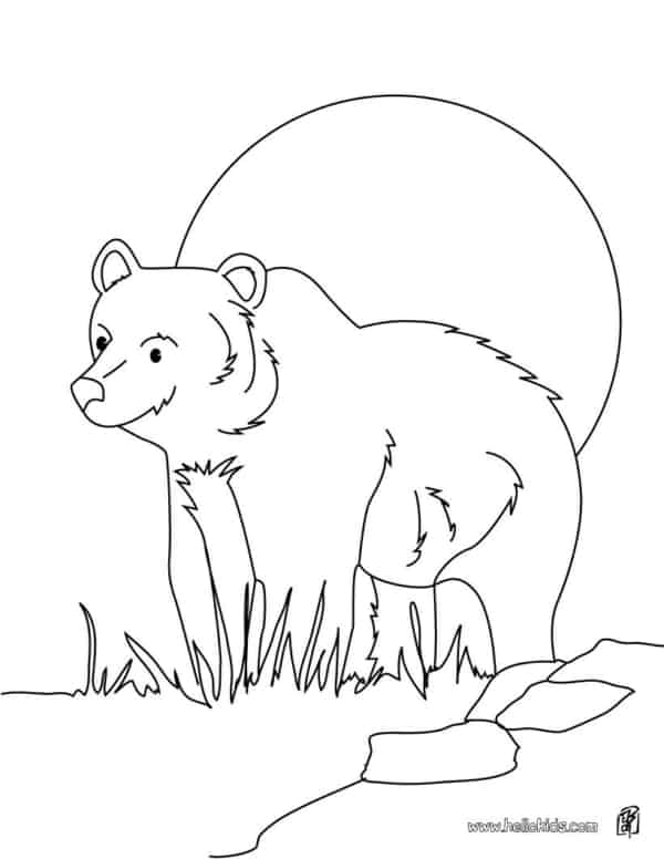 1 desenho para colorir de urso Hello Kids