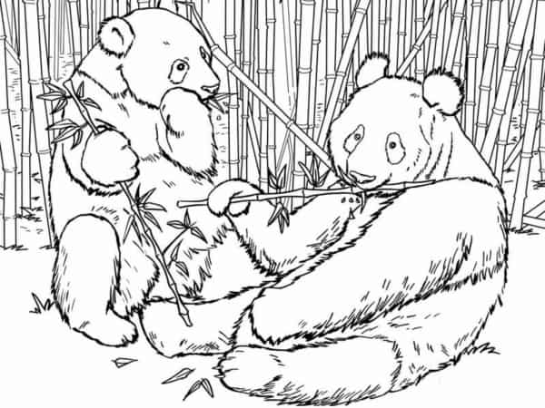 10 desenhos de urso panda para colorir Styles At Life