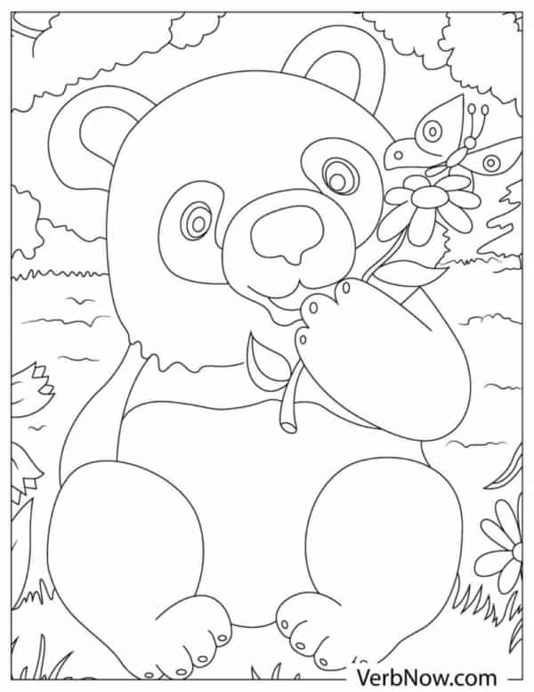 15 atividade de urso panda para pintar VerbNow