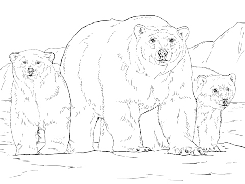 20 desenho de urso polar com filhotes para colorir Super Coloring