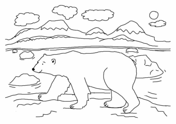 22 desenho de urso polar Get Coloring Pages