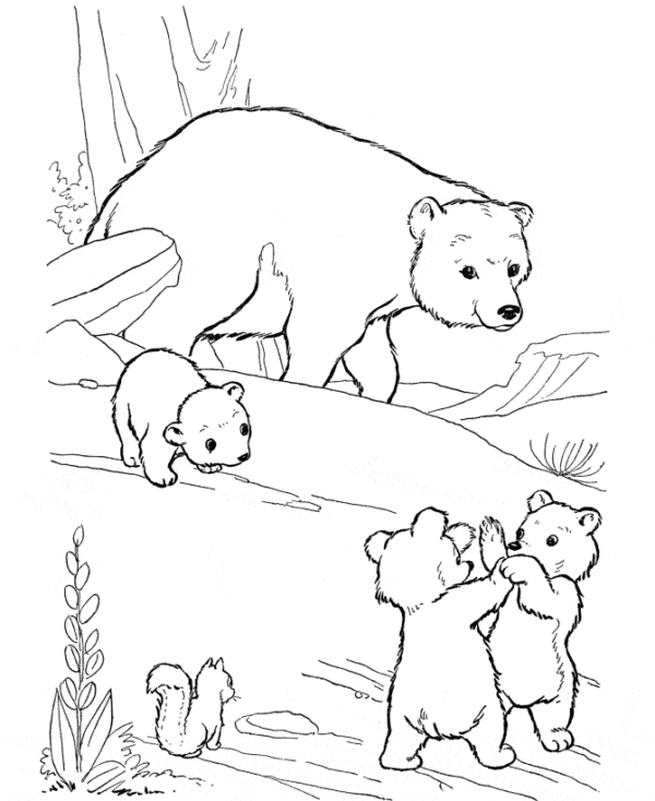 24 desenho fofo de urso polar Best Coloring Pages For Kids
