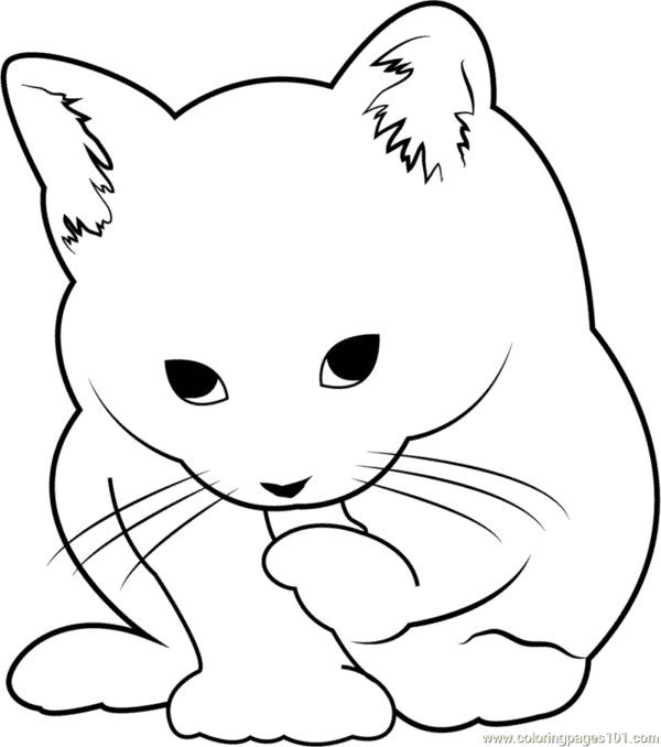 27 desenho fofo e simples de gato ColoringPages101