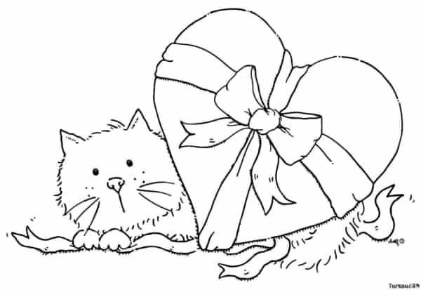 34 desenho fofo de gato para colorir Turkau
