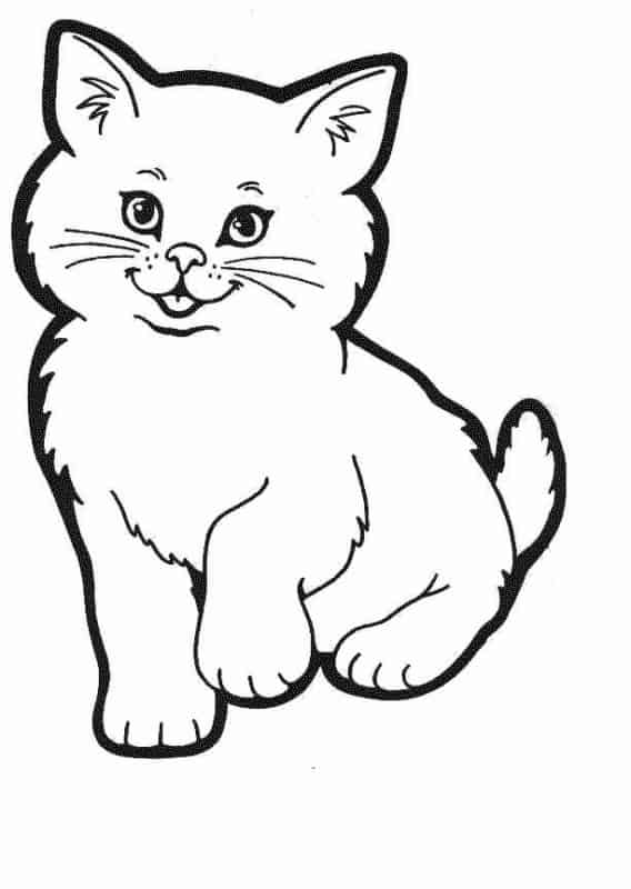 4 desenho de gato para imprimir e pintar Pinterest