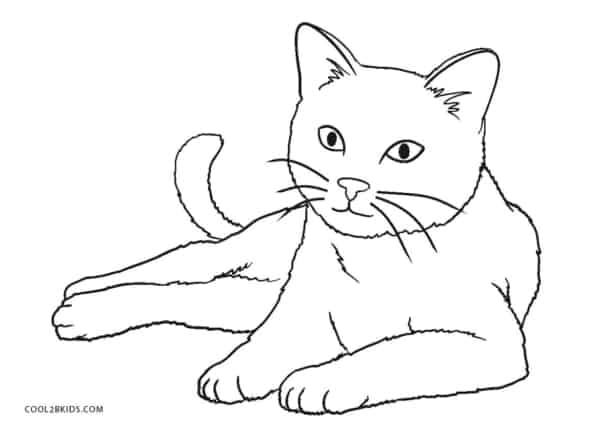 5 desenho de gato simples para colorir Cool2bKids