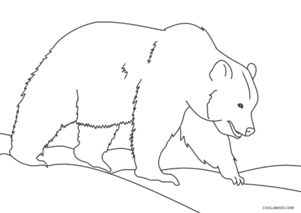 6 desenho de urso para pintar Cool2bKids