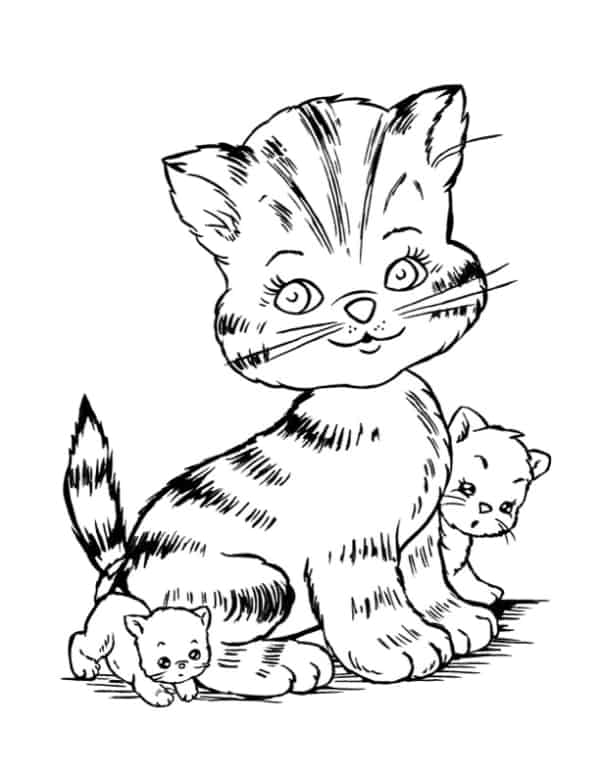 8 desenho de gato com filhotes para colorir The Graphics Fairy