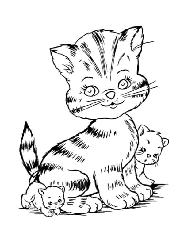 Gatinho estudando kawaii para colorir - Imprimir Desenhos