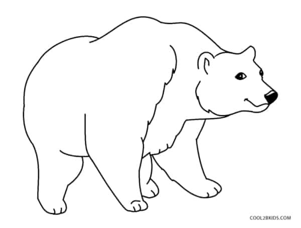 8 desenho simples de urso para colorir Cool2bKids