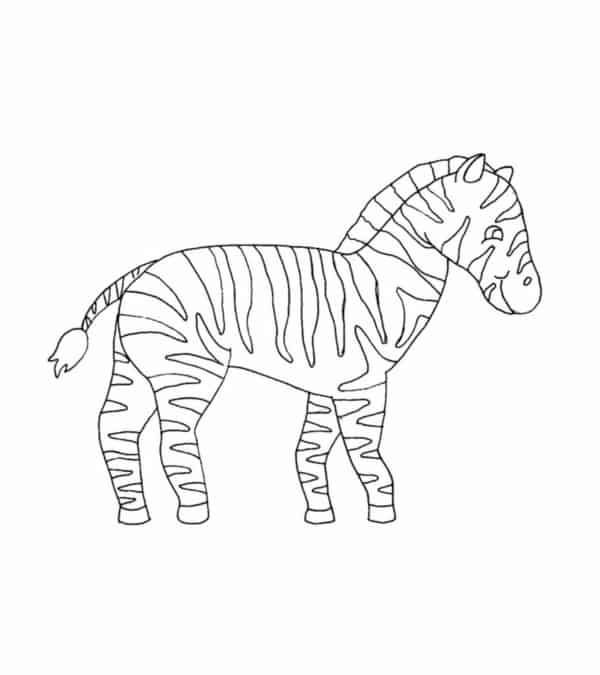 10 desenho simples de zebra para pintar MomJunction