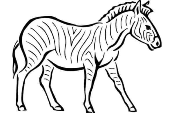 14 zebra facil de colorir Coloring Pages