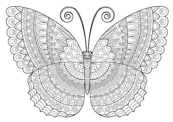19 mandala de borboleta para colorir Styles At Life