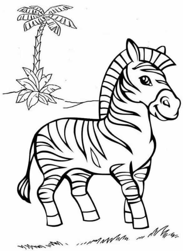 2 desenho simples de zebra para pintar Pinterest