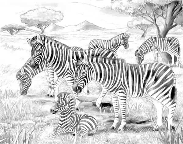 28 desenho de safari com zebras Depositphotos