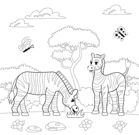 32 safari com zebra Pinterest