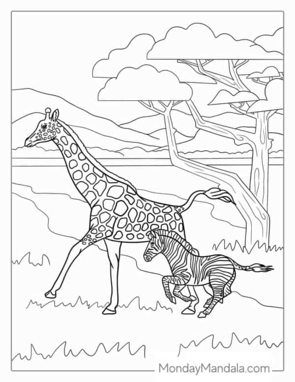 35 safaria com zebra e girafa para colorir Monday Mandala