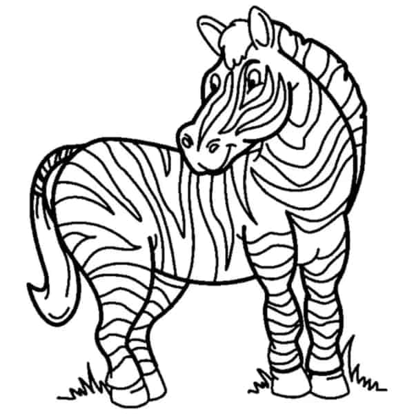 4 desenho de zebra facil de colorir EverFreeColoring