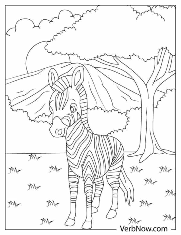 55 desenho de zebra gratis VerbNow