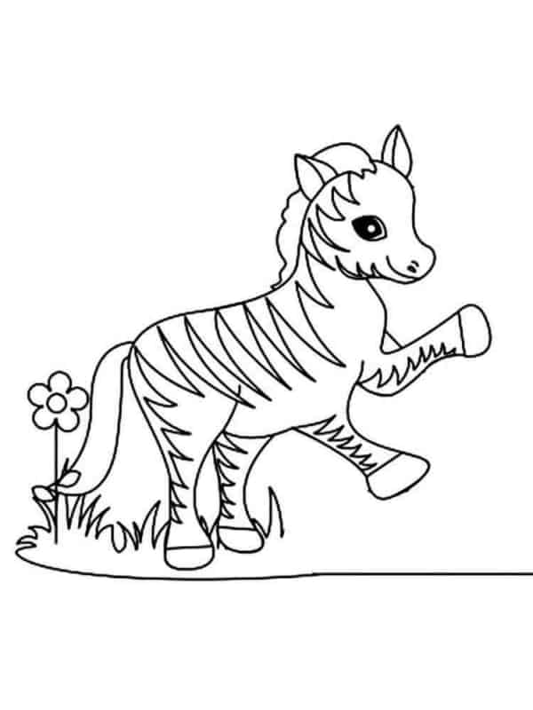 6 desenho simples e fofo de zebra My coloring pages