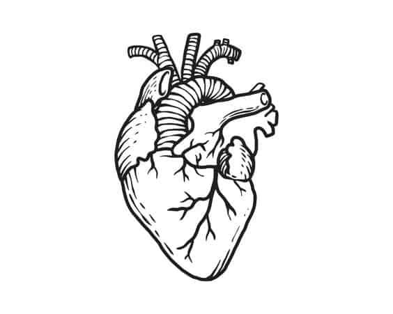 Desenho de coração
