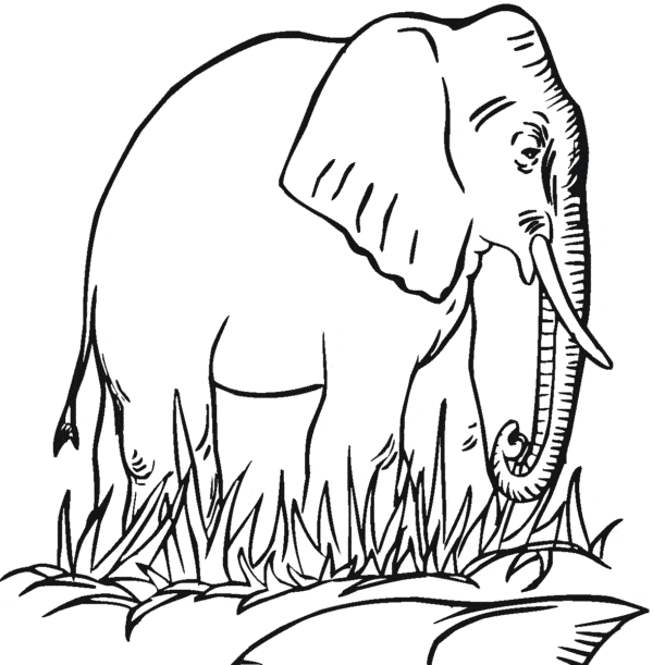 10 elefante grande para colorir Best Coloring Pages For Kids