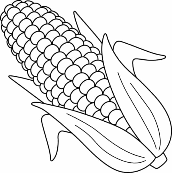 12 desenho simples de milho Vecteezy