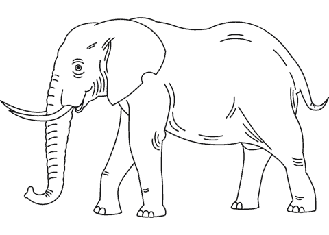 13 desenho para pintar de elefante Super Coloring