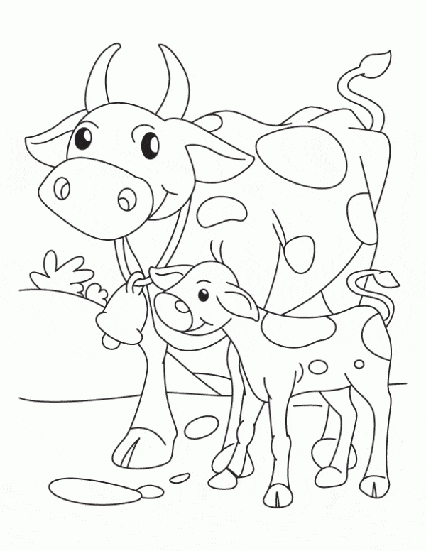 Desenho de Vaca cabeçuda para Colorir - Colorir.com