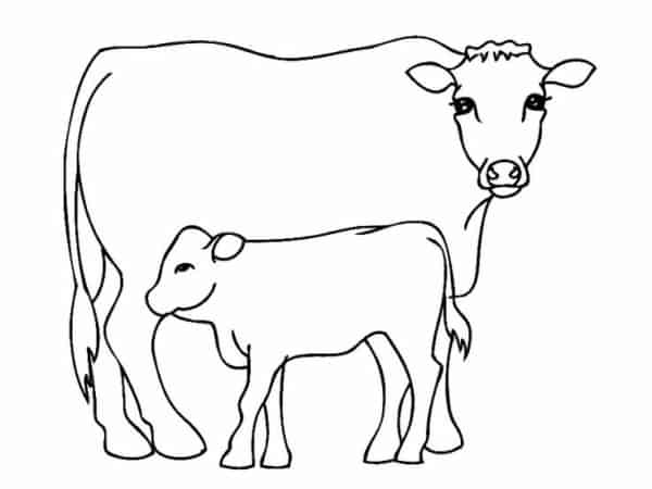 19 atividade de pintar de vaca com bezerro Pinterest