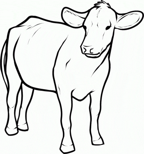2 desenho gratis de vaca para colorir ScribbleFun