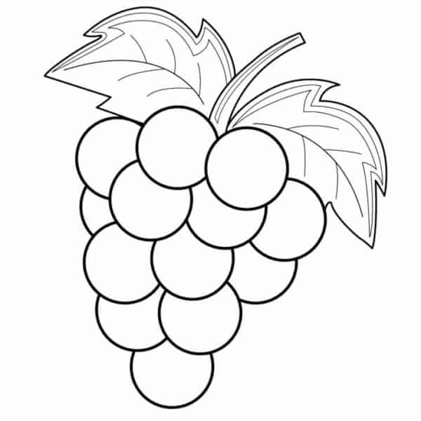 21 desenho de cacho de uva Pinterest
